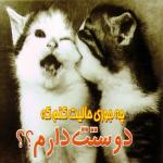 امیرحسین